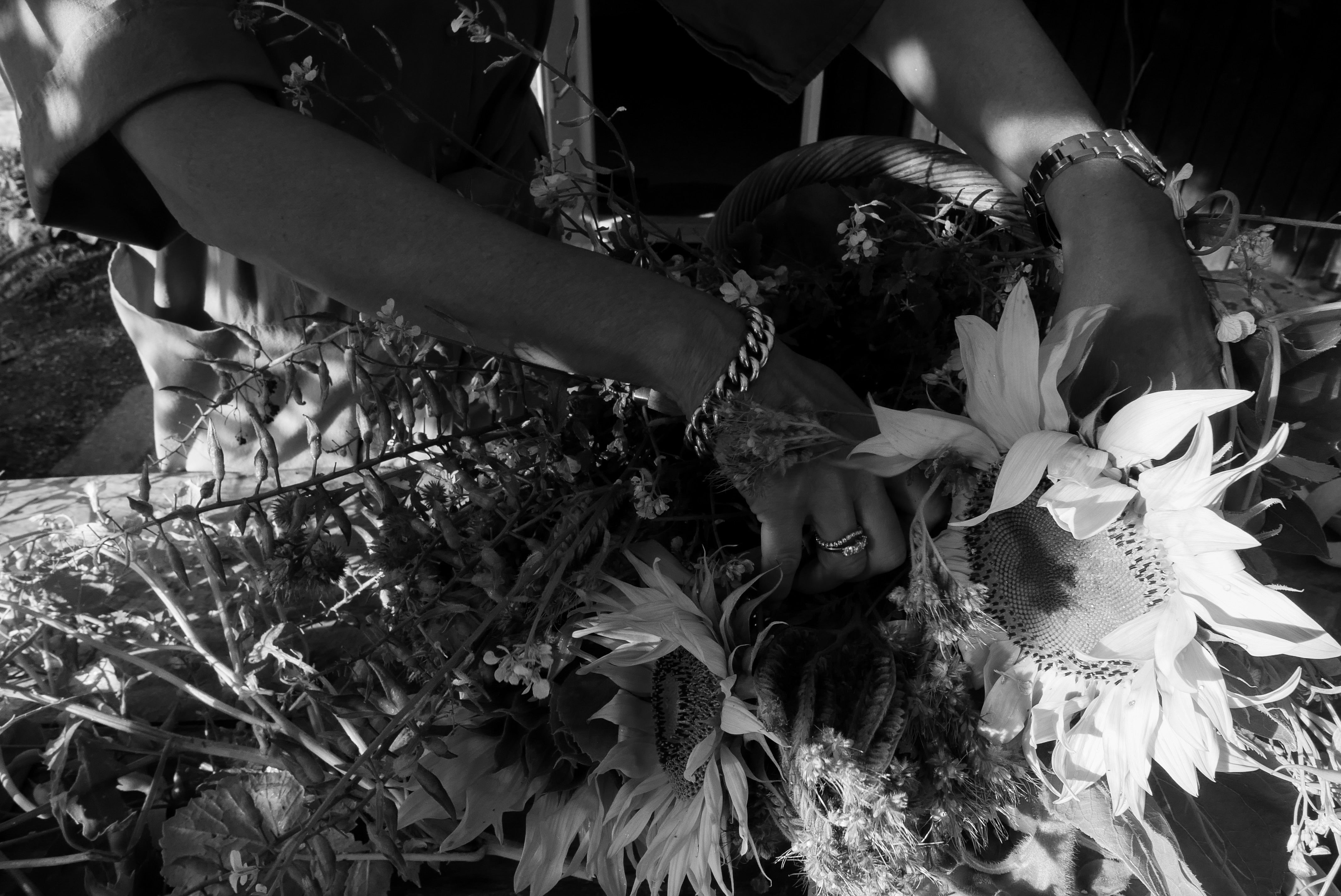 Why Gardening Has Become Part of My Sleep Ritual