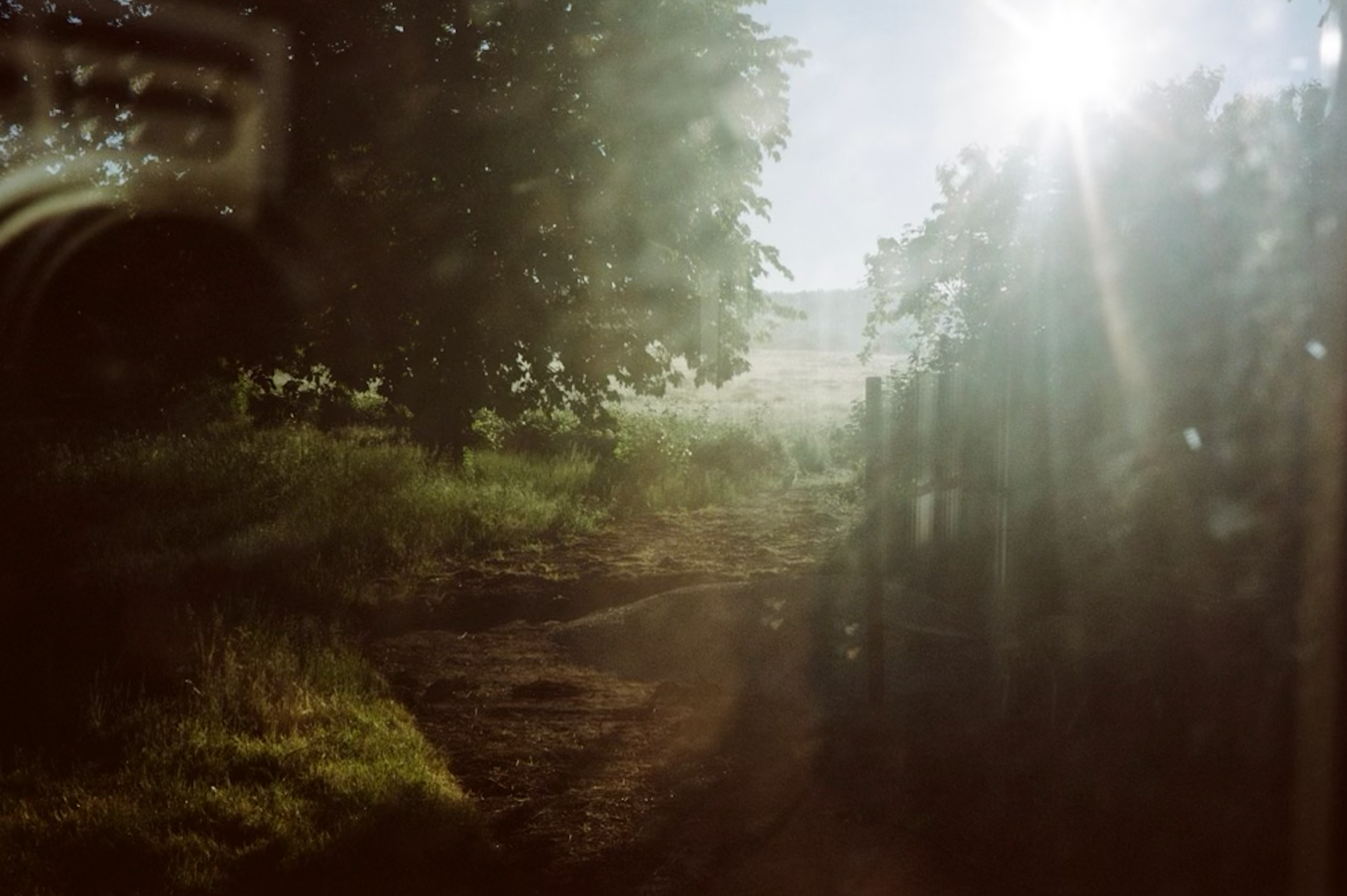 Does the Morning Light Wake You Up Too Early These Days?